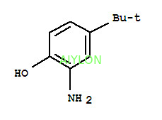 2 Amino4 Färbungs-Vermittler Tert Butylphenol mit CAS-Nr. 1199 46 8